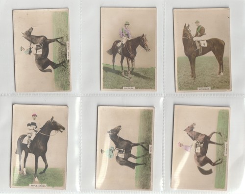 Lea famous racehorses - j.,