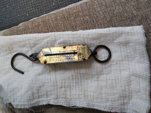 Salter pocket spring - spring, balance