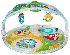 Skip hop explore - skip, more