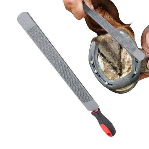 Horse hoof rasp - rasp, double