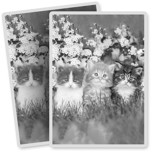 Vinyl stickers 7x10cm bw - x,