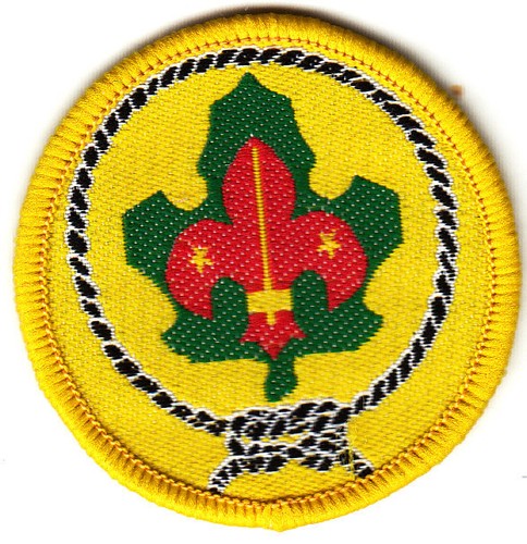 Boy scout badge - badge, bound