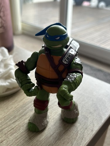 Teenage mutant ninja turtles - teenage,