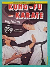 Kung-Fu and Karate fighting -