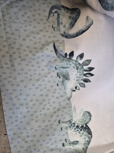 Dinosaur kids bedroom - kids,