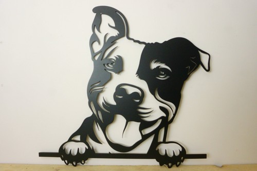 Staffordshire bull terrier - bull,