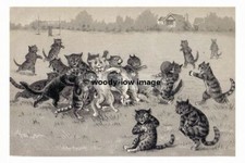 rp02755 - Louis Wain Cats -
