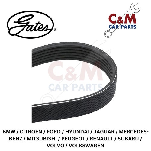 Alternator drive belt fits - alternator,
