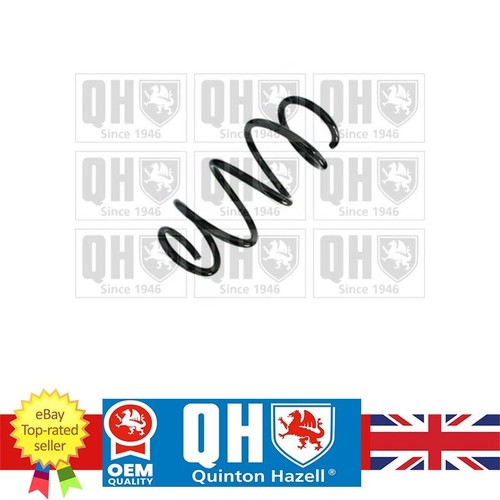 Front coil spring - front,
