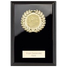 Custom award presentation - custom,