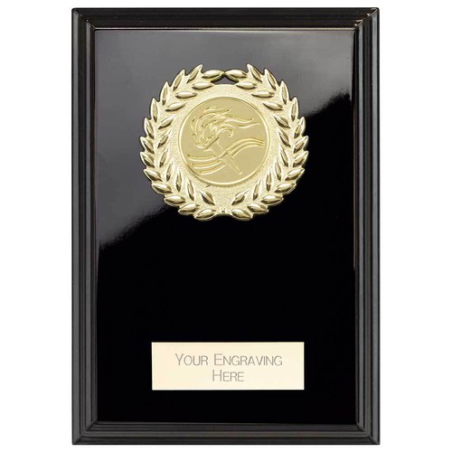 Custom award presentation - award,