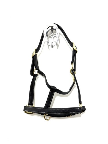 Black biothane horse - black,