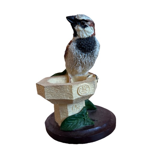 House sparrow the - house, bird