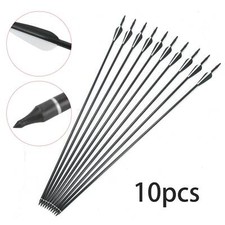 10pcs fiberglass arrows - 10pcs,