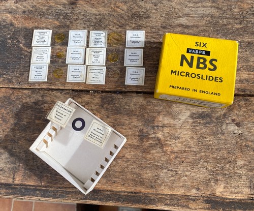Nbs microscope slides parts - microscope, of