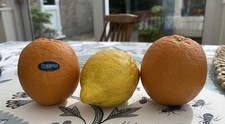 Penkridge Ceramics Orange X 2