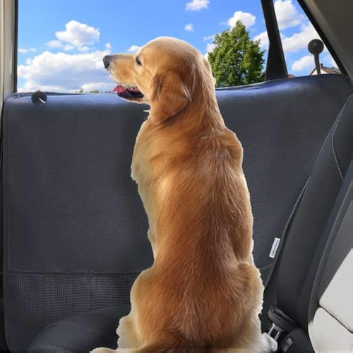 Durapower dog car door - durapower,
