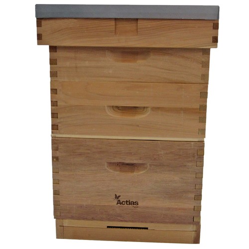 Langstroth beehive bee keeping - beehive,