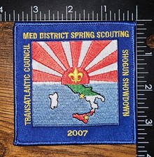 Transatlantic Council Med