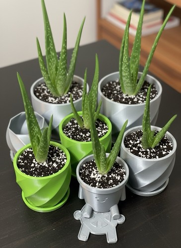 Aloe vera live plant - vera,