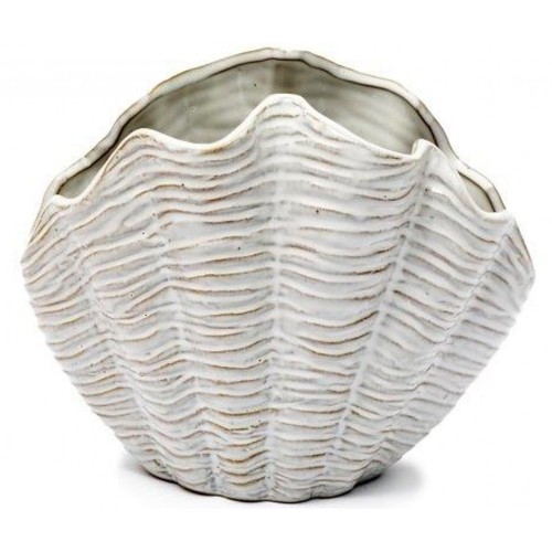 Vase 22cm seashore shell - vase:,
