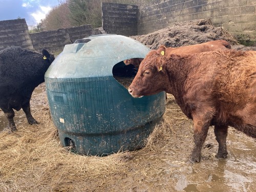 Round bale feeder - round, for