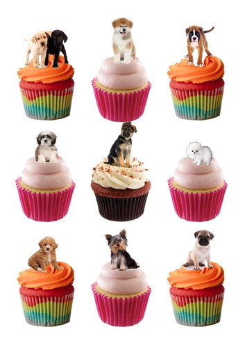 Stand cute puppies puppy - up,