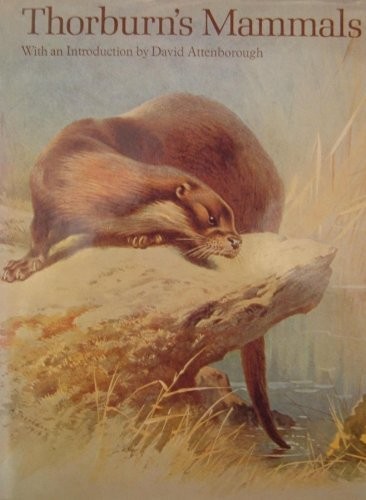 Thorburn mammals - -,