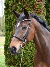 Rhinegold Veneto Leather Show Bridle With Clincher Browband,  2 Colours, 3 Sizes