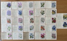 Kensitas cigarette card - cigarette,