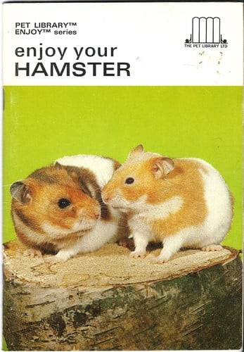 Land hermit crabs - hermit, by
