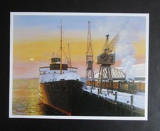 9.10" x  7.00"   MALCOLM ROOT