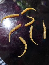 7 X 40mm Polaris Perch Lures. Natural Brown  Colour, D/Shot- Lots Of Colours