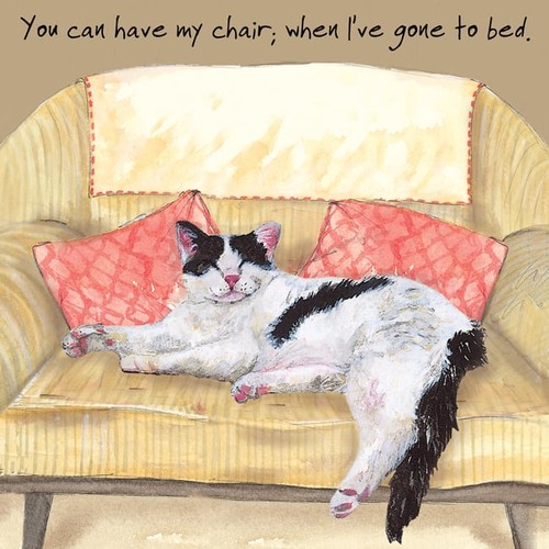 White black moggie cat - black,
