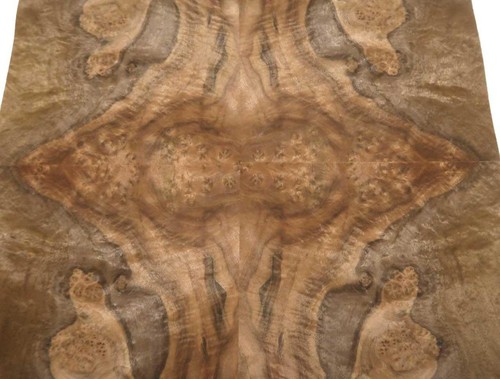 Walnut root wood veneer - root, inlays