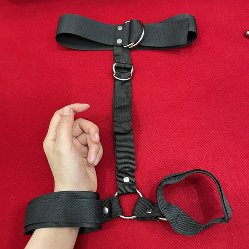 Neck collar wrist harness - collar, to