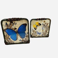 antique pressed butterfly