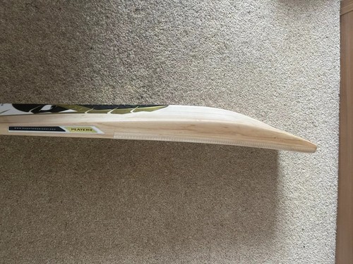 Phantom cricket bat absolute - phantom,