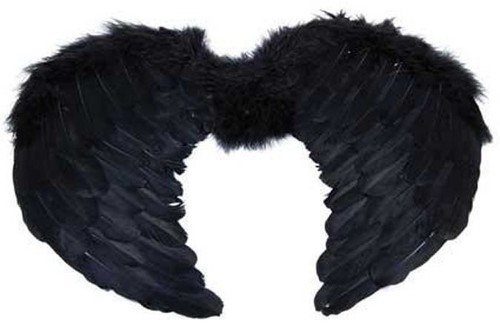 Mini black feather angel - feather, wings