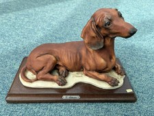 GIUSEPPE ARMANI DACHSHOUND