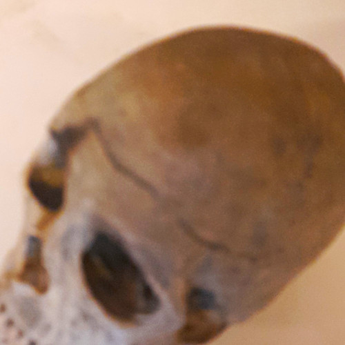 Grey resin human - resin, skull
