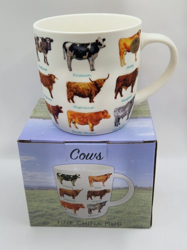 Cows mug cattle - cows,