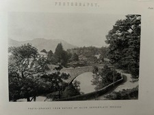 Antique Print 1870s –