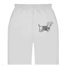 'Sausage Dog In Christmas