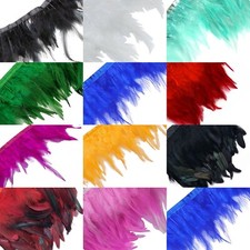 2 Meter Rooster Tail Feathers
