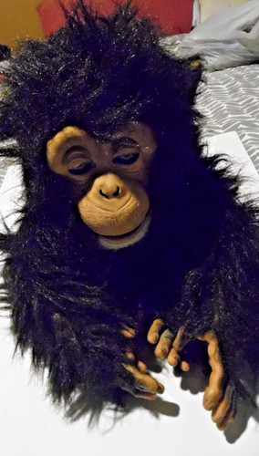 Adorable vintage chimp hasbro - adorable,