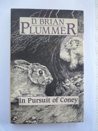 Pursuit coney by - in, david