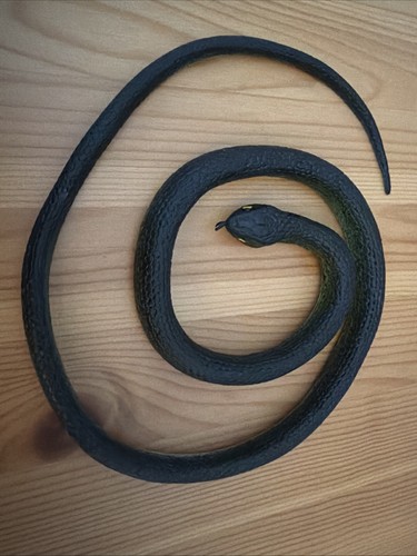 Plastic snake prank rubber - plastic,