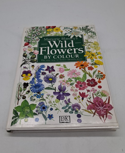 Wild flowers colour - wild,