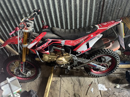 Road legal pitbike - road,